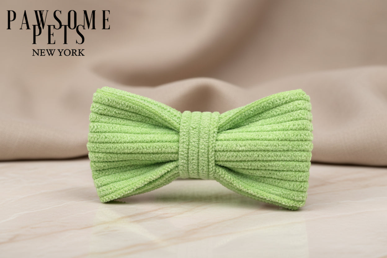 BOWTIE - BEAN GREEN