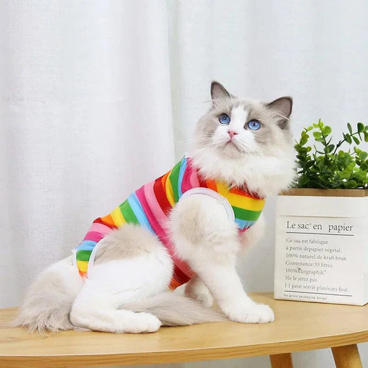 Kitty Recovery Pajamas