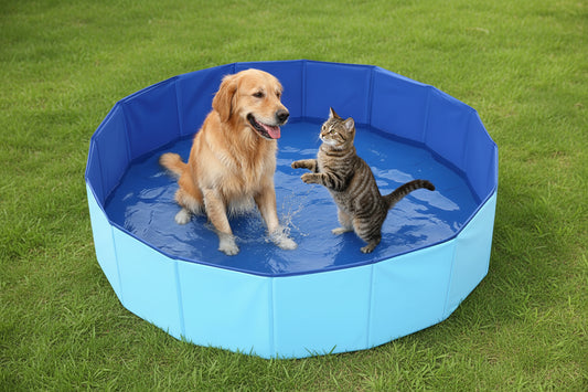 Pet Wading Pool
