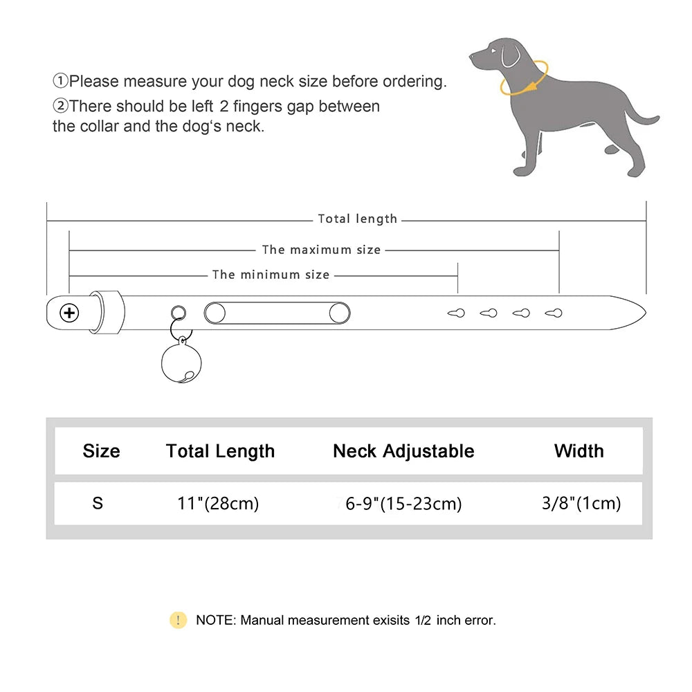 Personalized Cat Collar