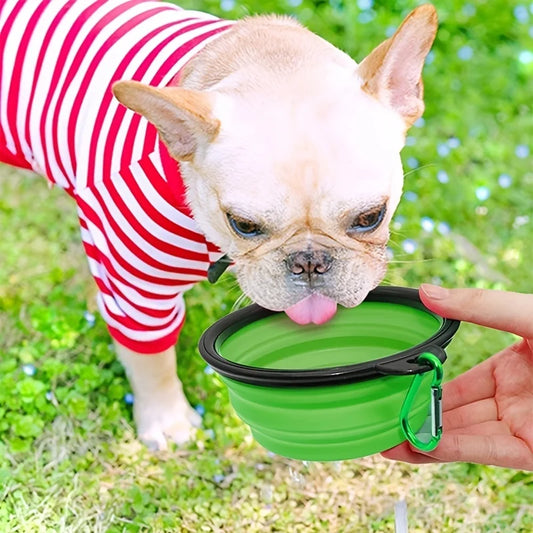 Collapsible Travel Water Bowl
