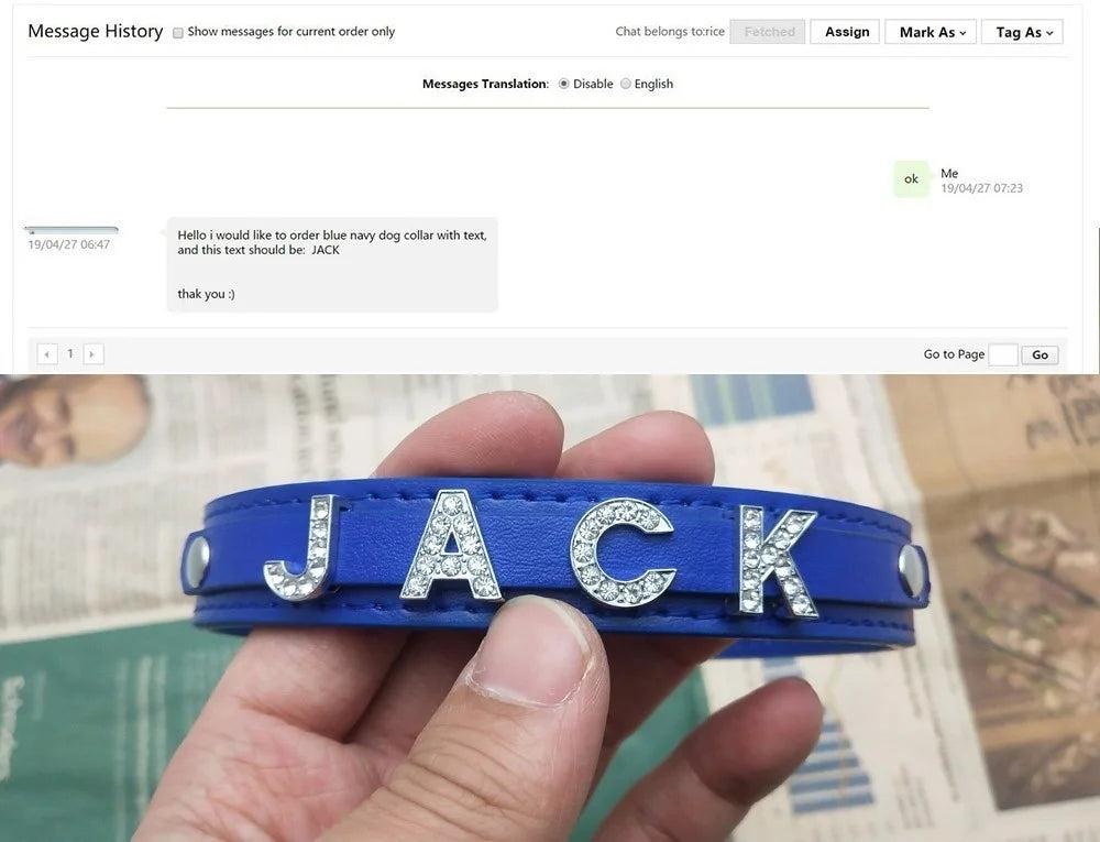 Customizable Pet Collar