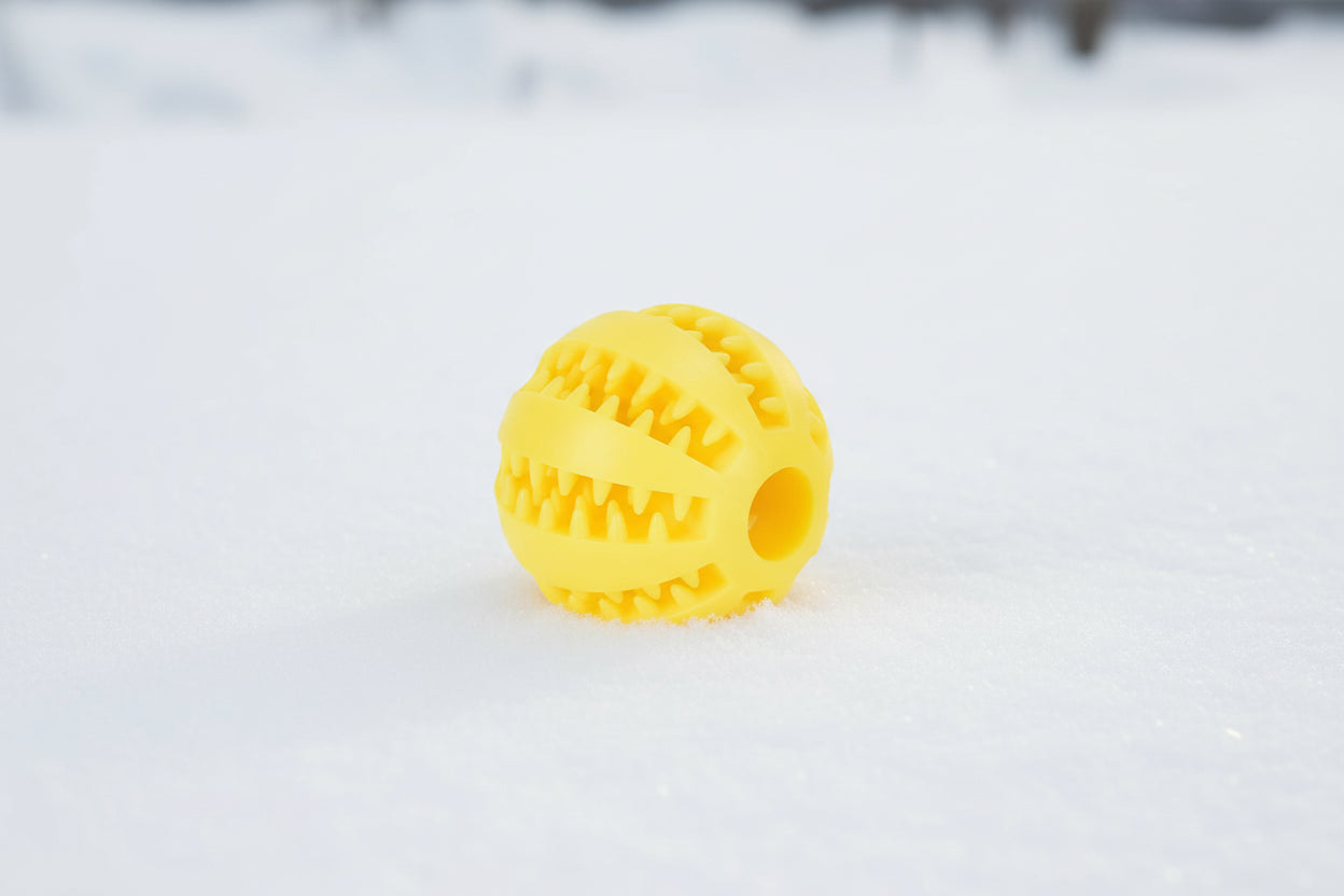 Pet Treat Balls