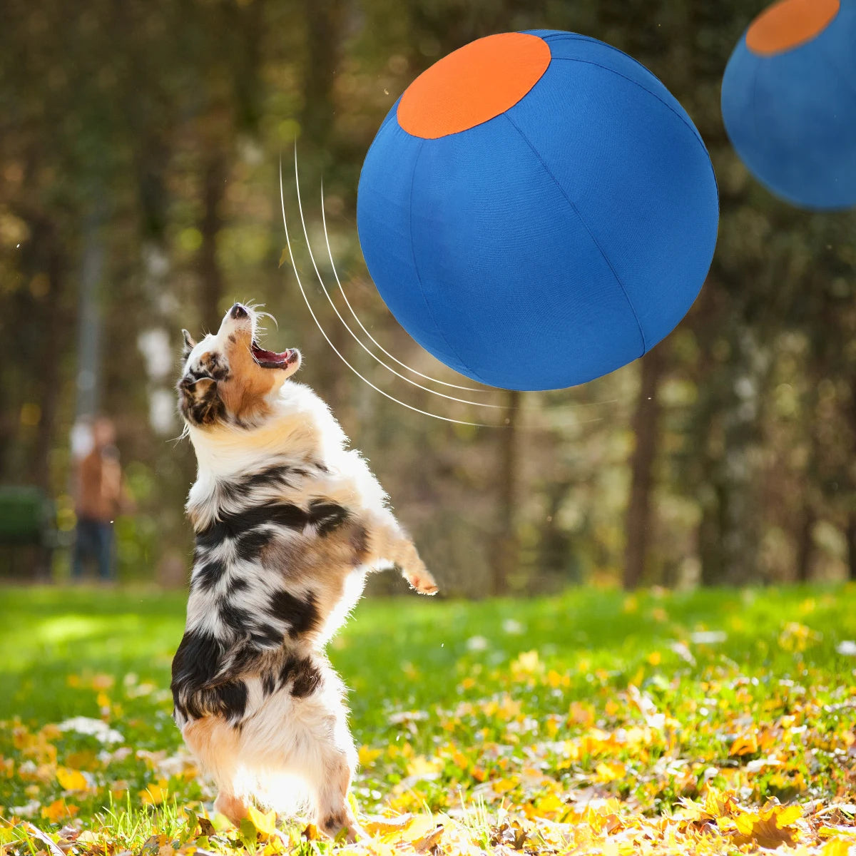 Inflatable Herding Ball for Dogs