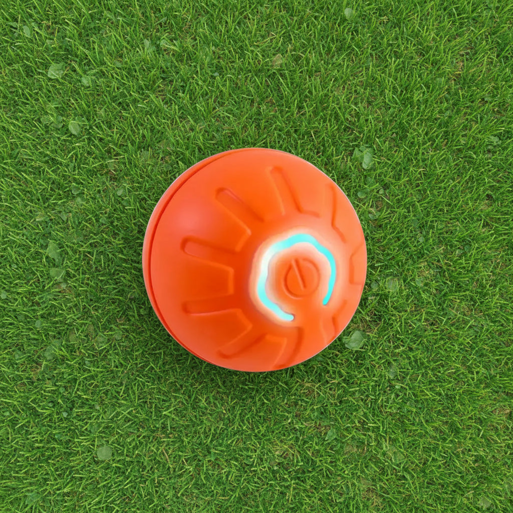 Pet Gravity Ball