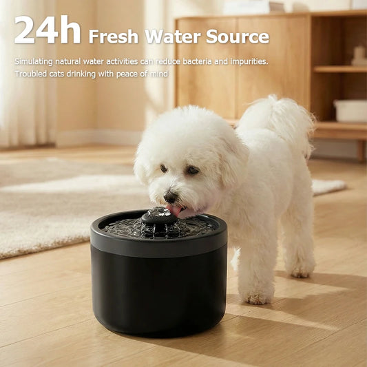 Automatic Water Dispenser