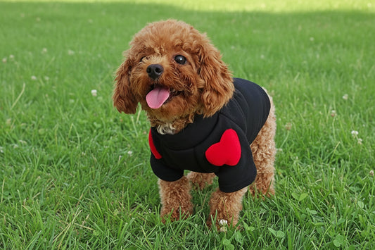 Puppy Love Sweater