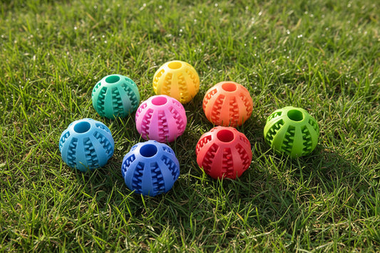 Dog Treat Ball
