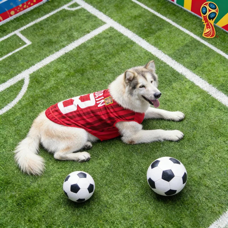 Pet Mesh Soccer Jersey