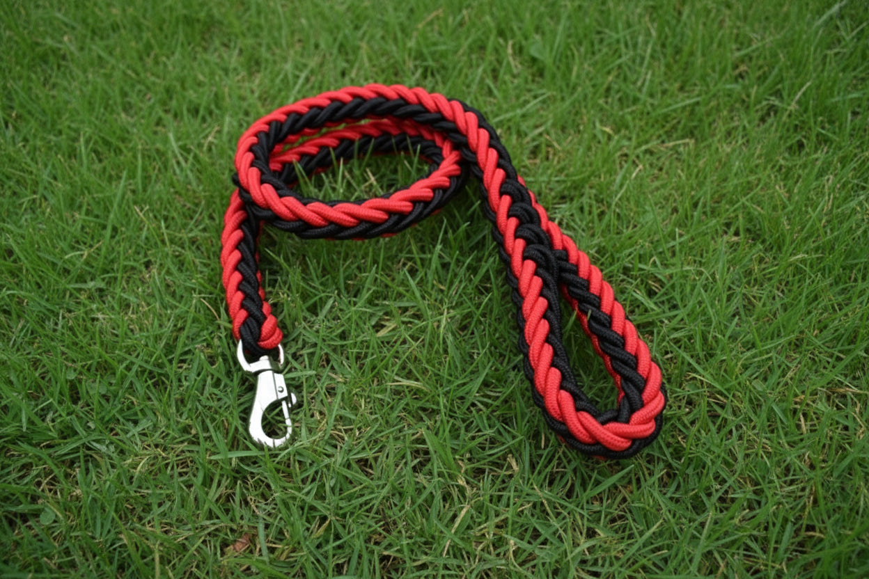 Large Breed Nylon Leash