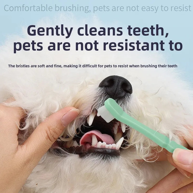 1pc Pet Toothbrush