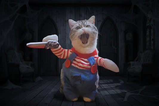 Chucky cat costume