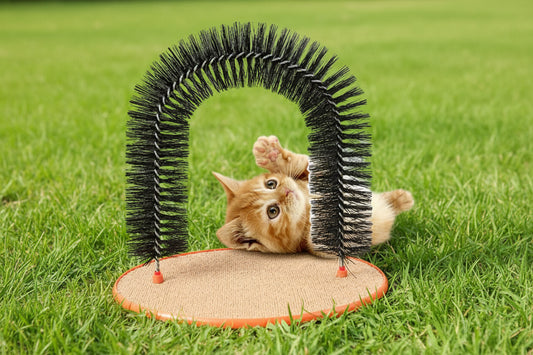 Feline Back Scratcher