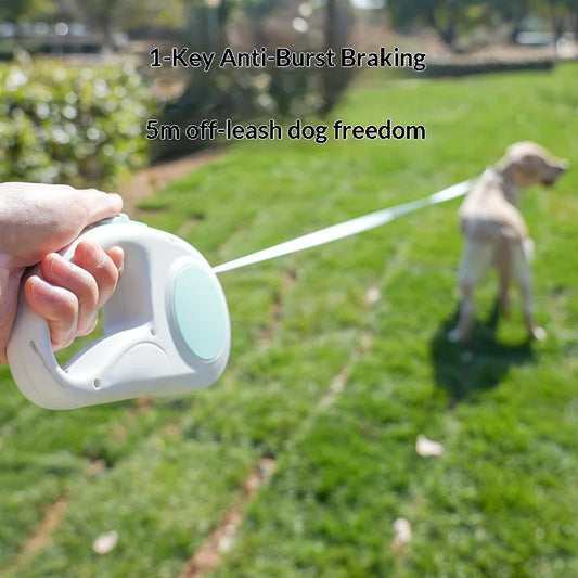 3/5 Meter Retractable Pet Leash for Small Dogs