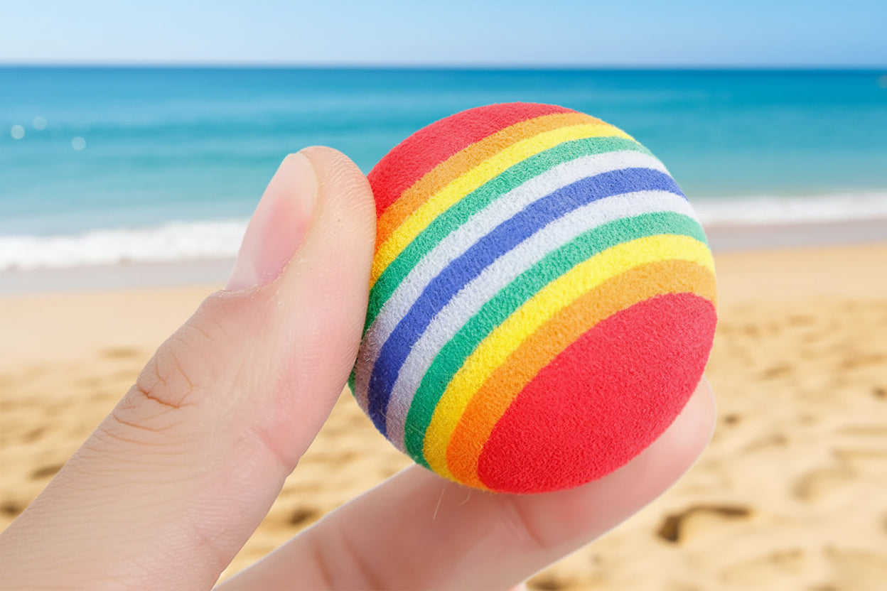 Pet Fetch Balls