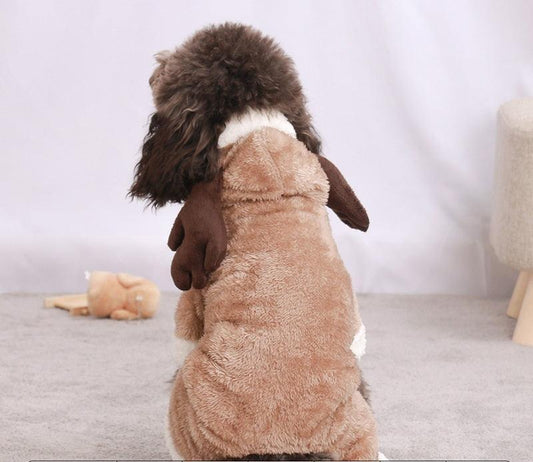 Pet Costume