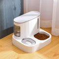 Automatic Cat Drinking Fountain: Elevate Your Cat's Hydration and Feeding Experience