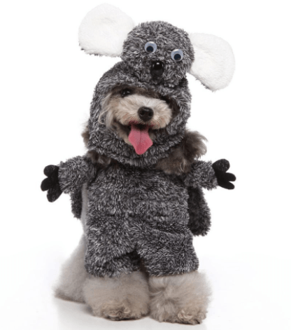 Funny Cosplay Pet Costume Set