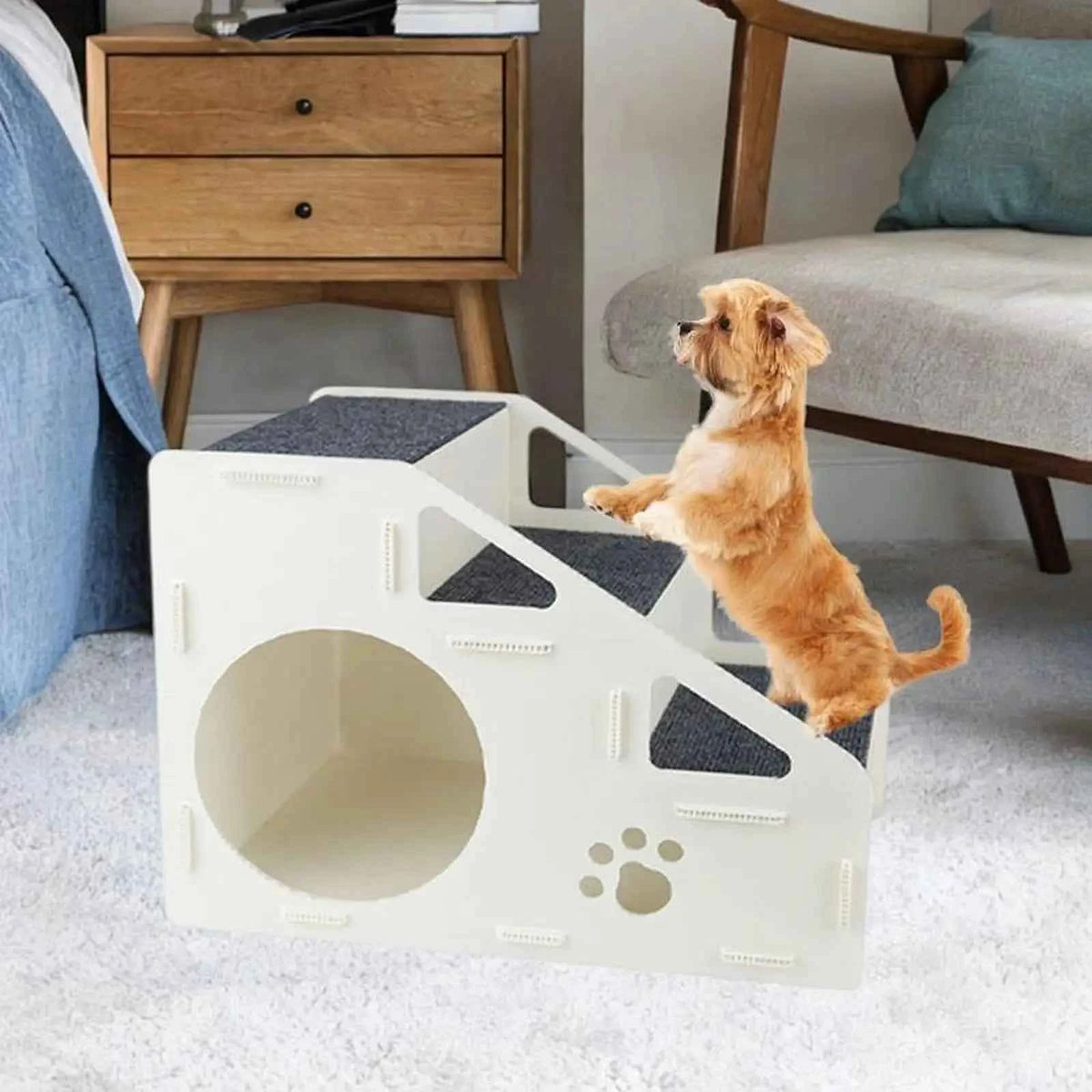 Dog Ramp for Small Dogs: Your Pet's Path to Comfort and Safety