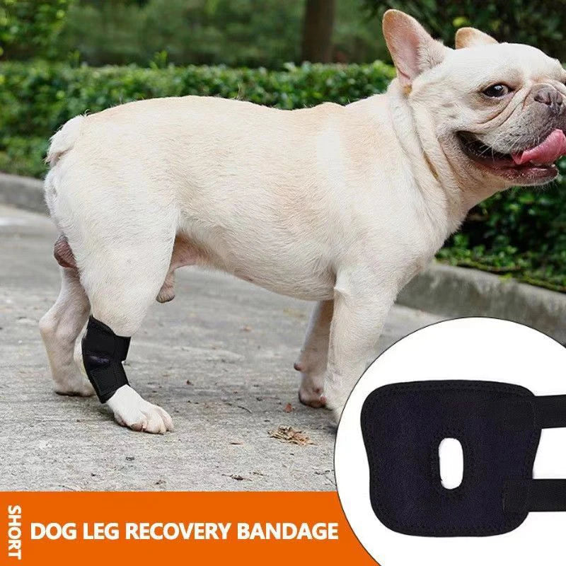 Dog Leg Brace Small Breed