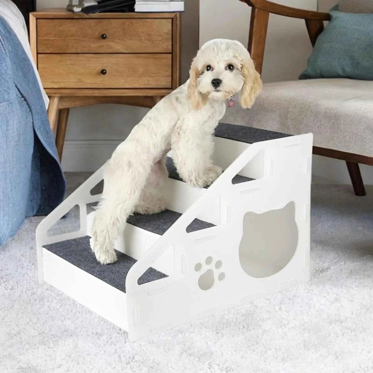 Dog Ramp for Small Dogs: Your Pet's Path to Comfort and Safety