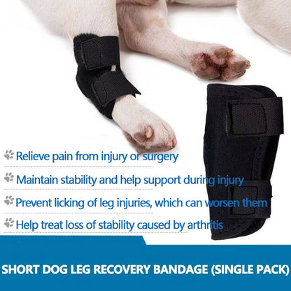 Dog Leg Brace Small Breed