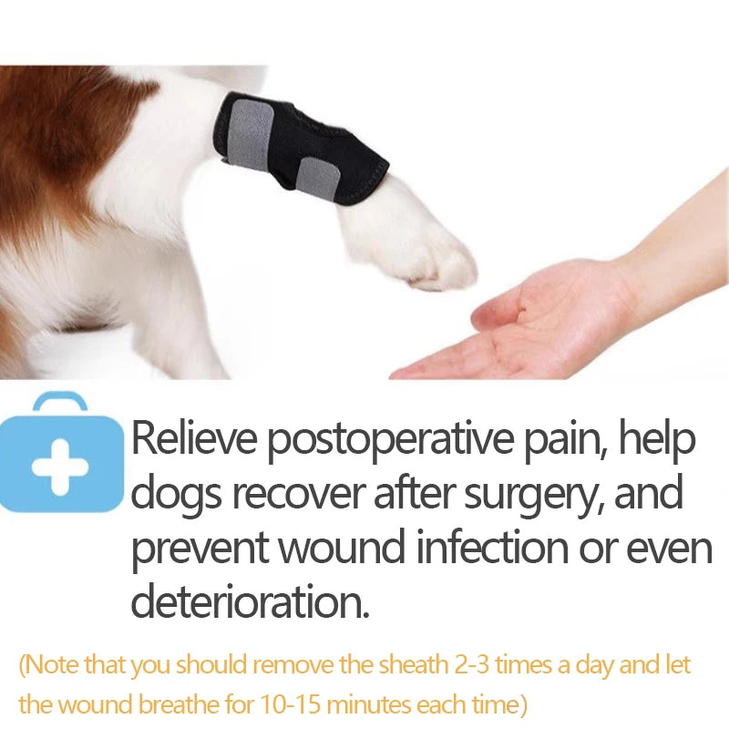 Dog Leg Brace Small Breed