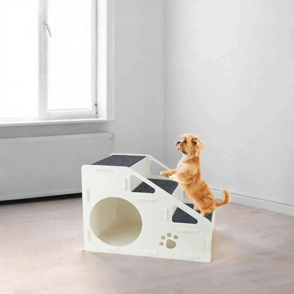 Dog Ramp for Small Dogs: Your Pet's Path to Comfort and Safety