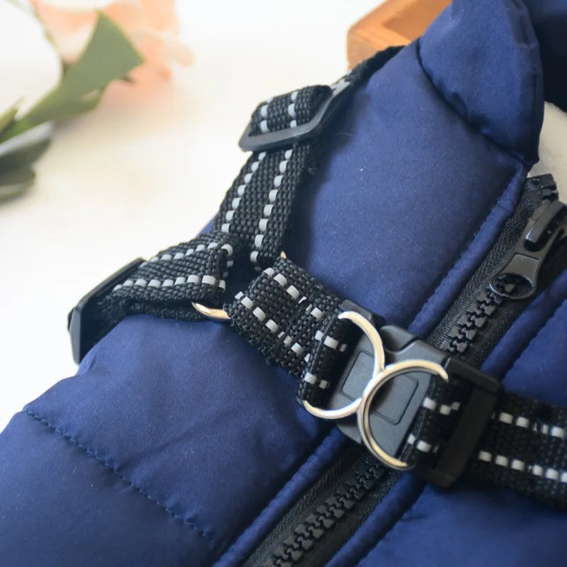 Waterproof Dog Winter Jacket with Harness - Waggy World