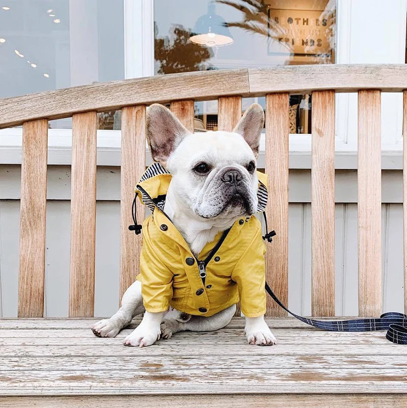 Pet Rain Coat