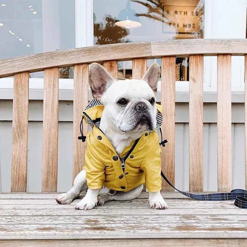 Pet Rain Coat