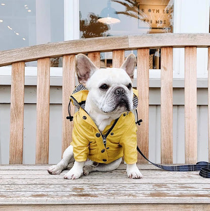 Pet Rain Coat