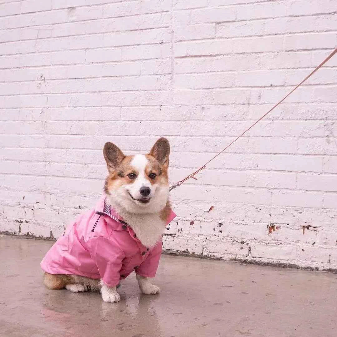 Pet Rain Coat