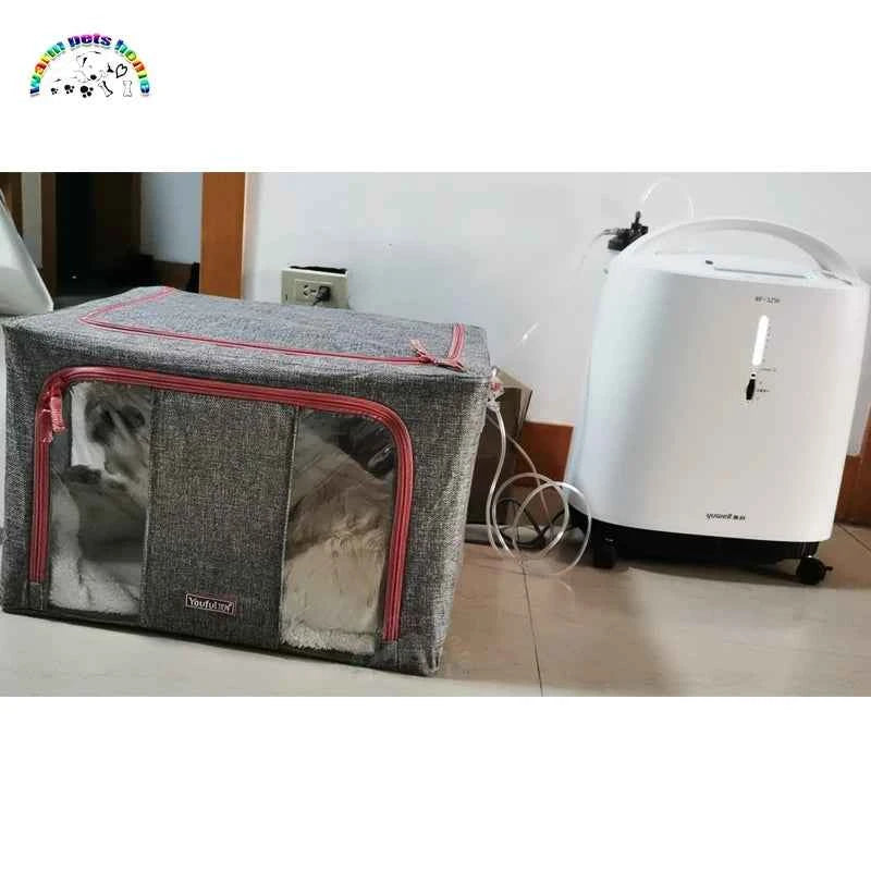 Portable Pet Oxygen Cage: Essential Respiratory Support for Your Furry Friends
