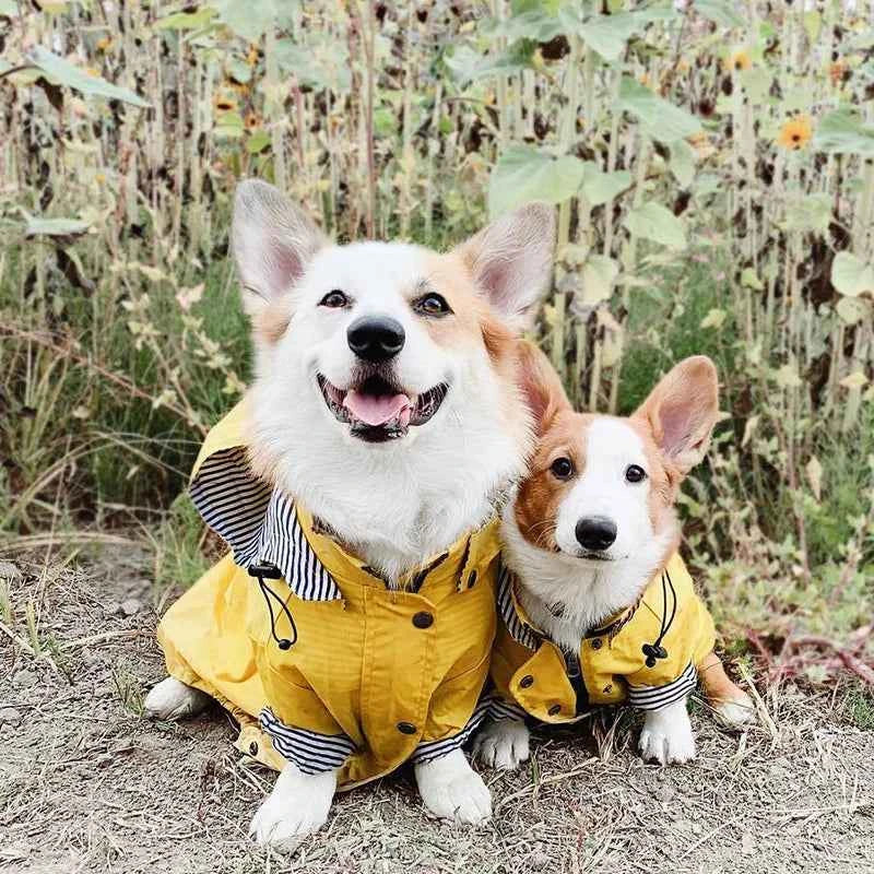 Pet Rain Coat