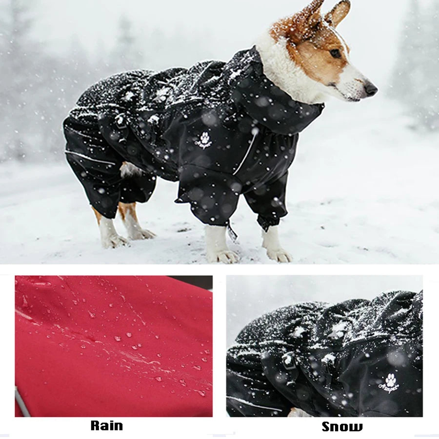 Warm Waterproof Dog Coat