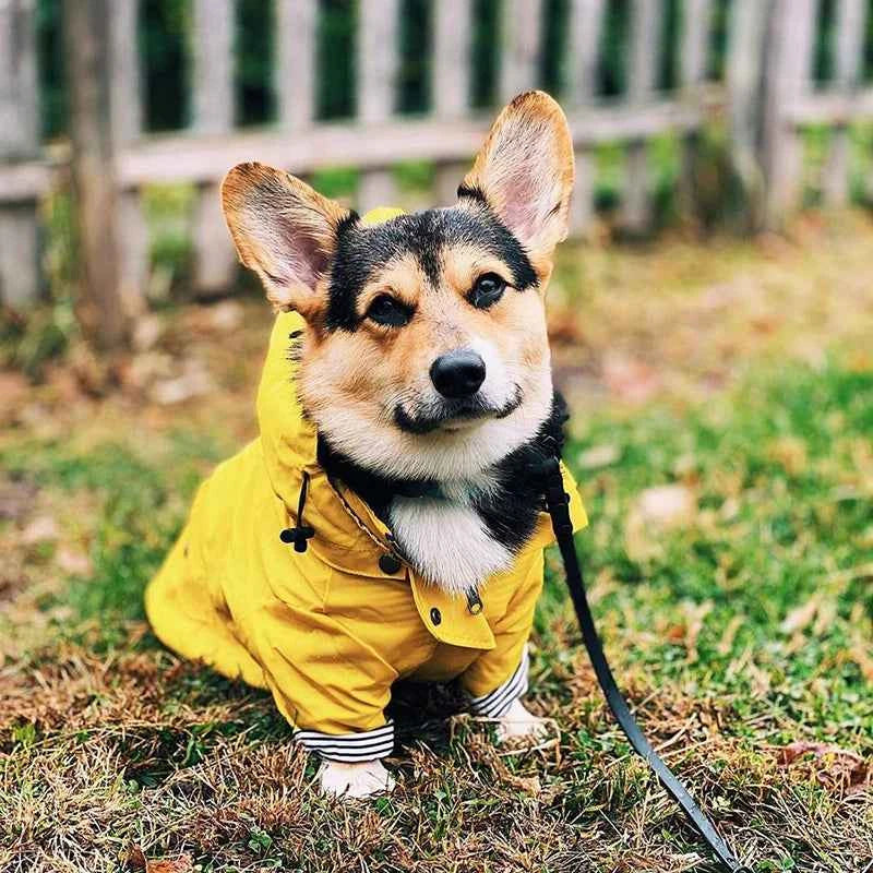 Pet Rain Coat