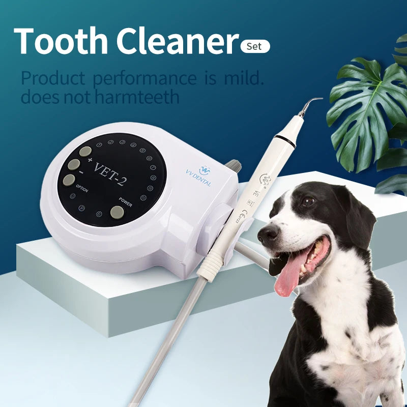Ultrasonic Pet Scaler