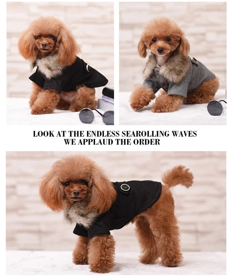 Doggy's Wool Winter Coat