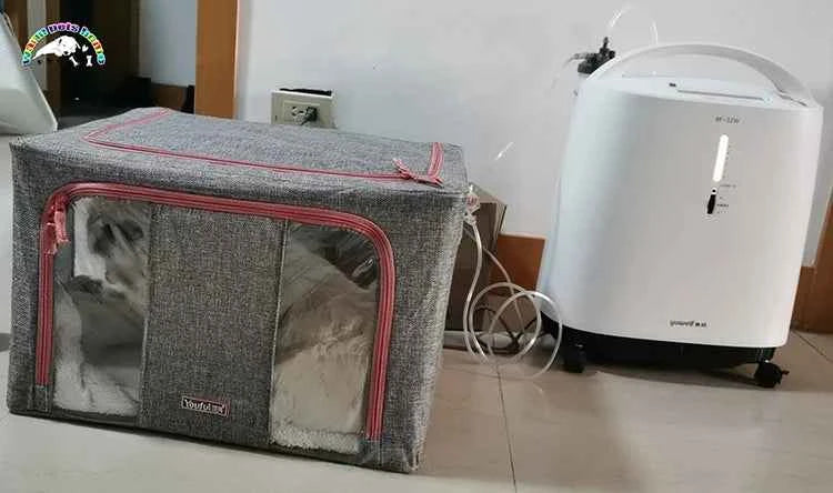 Portable Pet Oxygen Cage: Essential Respiratory Support for Your Furry Friends