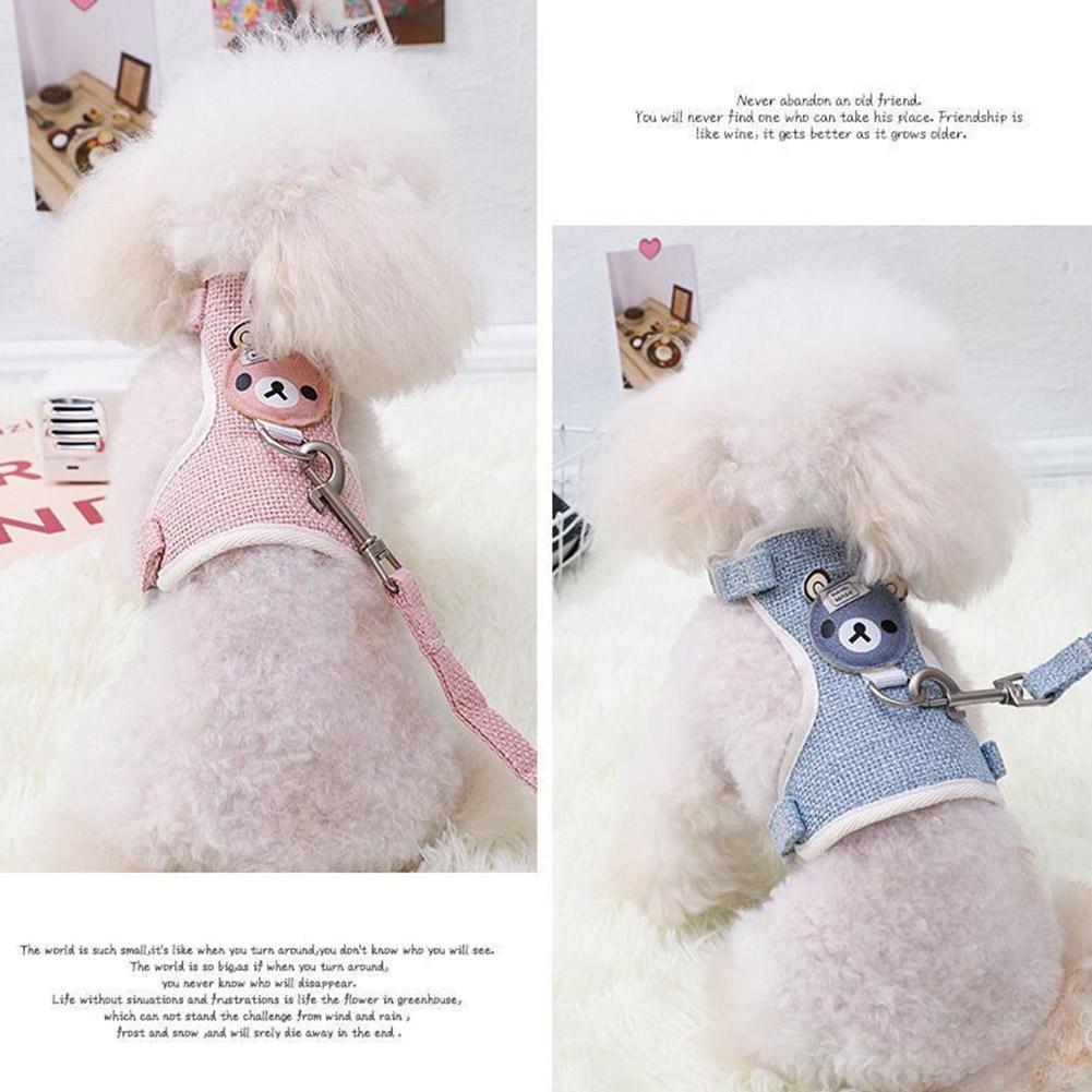 Small Breed Leash/Harness Combo