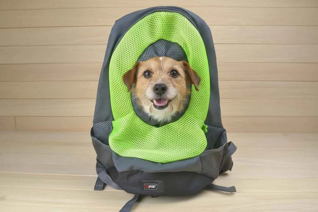 Pet Carrier