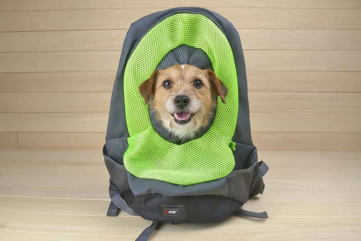 Pet Carrier