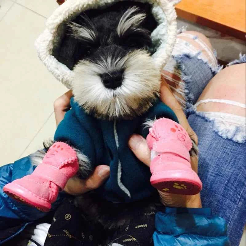 Durable Pet Safety Boots for Adventure-Ready Paws