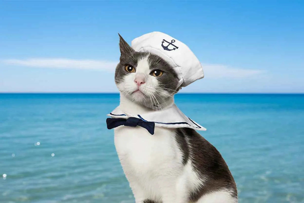 Pet Sailor Costume