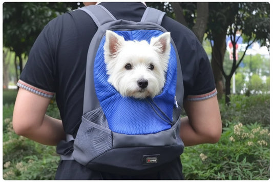 Pet Carrier