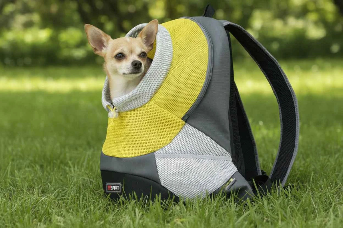 Pet Carrier