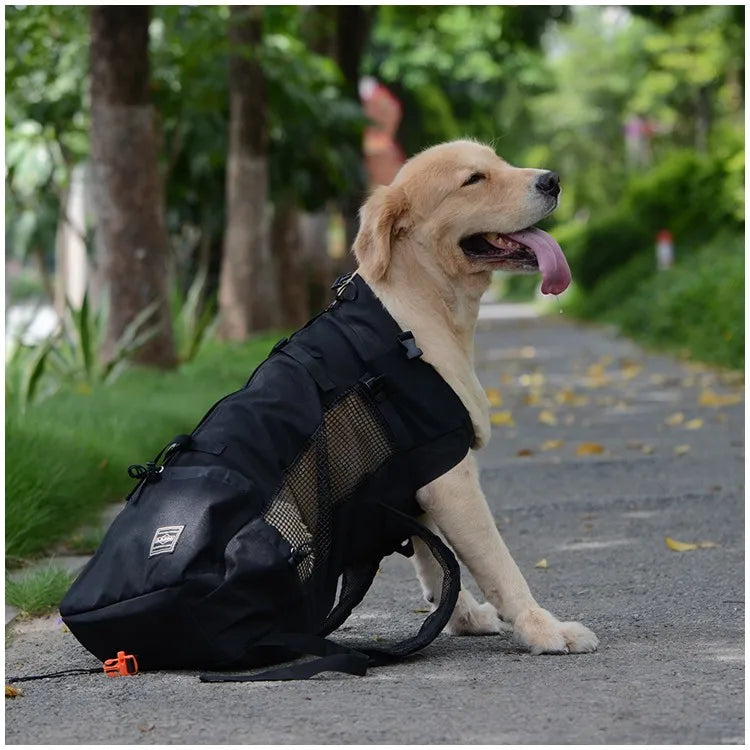 Breathable Hiking Pet Carrier Backpack - Waggy World