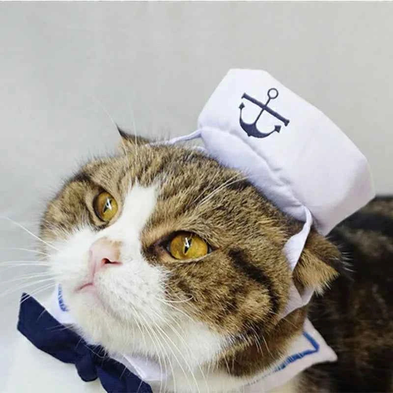 Pet Sailor Costume