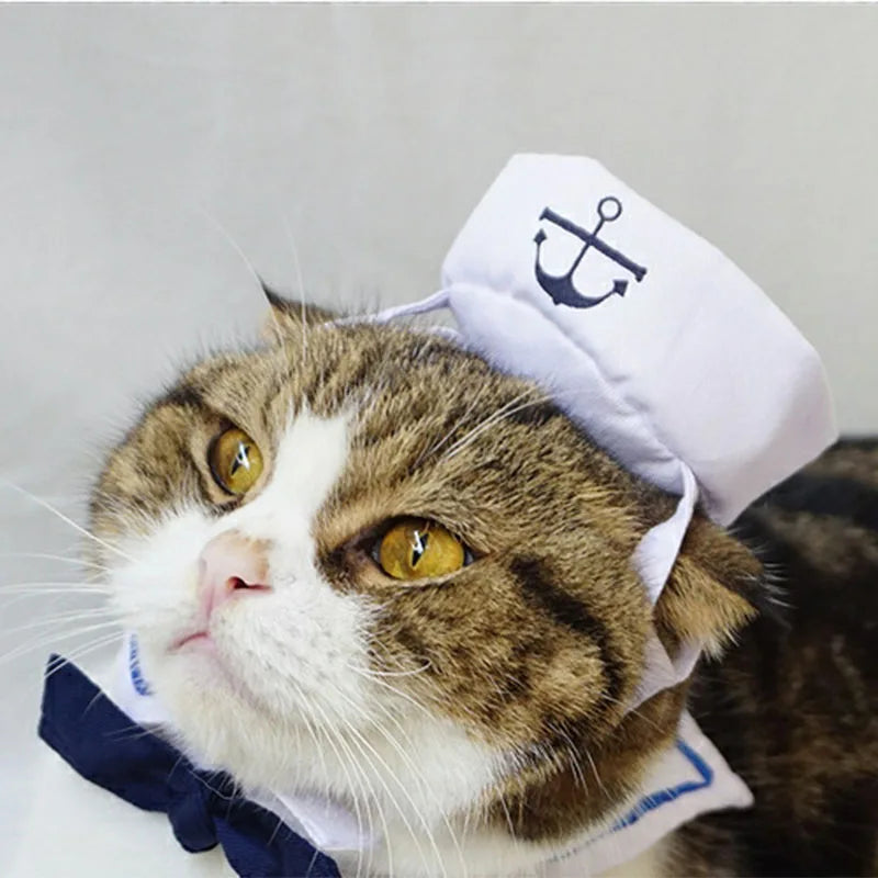 Pet Sailor Costume